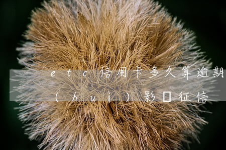 etc信用卡多久算逾期(etc逾期多久會(huì)影響征信)