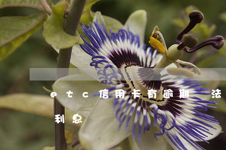 etc信用卡有逾期說法嗎 etc逾期會有利息嗎