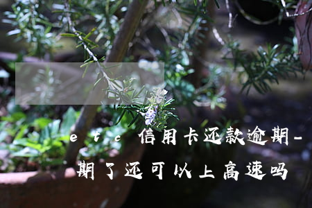 etc信用卡还款逾期-etc的信用卡逾期了还可以上高速吗