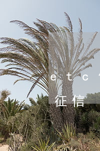 etc信用卡逾期1次(etc逾期多久影响征信)