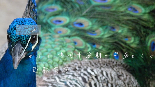 etc信用卡逾期一年多(etc卡逾期半年还能用吗)