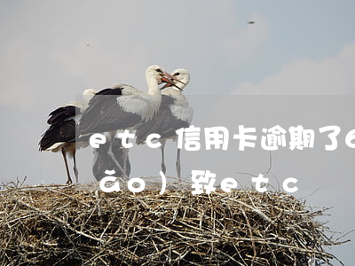 etc信用卡逾期了6天(信用卡逾期導(dǎo)致etc凍結(jié))