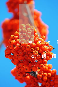 etc信用卡逾期了怎么還款(高速公路etc信用卡 多久還款)