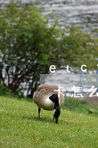 etc信用卡逾期可以注銷嗎(etc的信用卡怎么注銷)