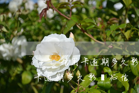 etc信用卡逾期多久影響征信（etc信用卡逾期多久影響征信）