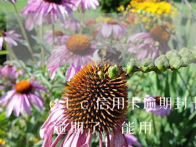 etc信用卡逾期封卡(etc綁定的信用卡逾期了還能用嗎)