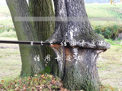 etc信用卡逾期幾天會上征信嗎-etc信用卡逾期幾天會上征信嗎