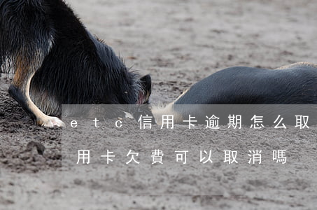 etc信用卡逾期怎么取消(etc綁定的信用卡欠費可以取消嗎)
