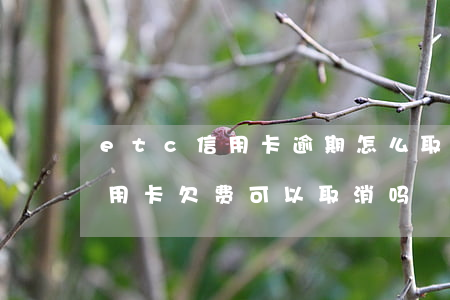 etc信用卡逾期怎么取消(etc绑定的信用卡欠费可以取消吗)