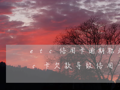 etc信用卡逾期能走人工通道吗(因为etc卡欠款导致信用卡逾期怎么办)