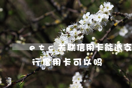 etc关联信用卡能透支吗(etc用其他银行信用卡可以吗)