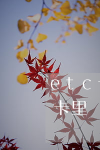 etc卡里沒錢逾期要交逾期費嗎-etc卡里沒錢逾期要交逾期費嗎怎么辦