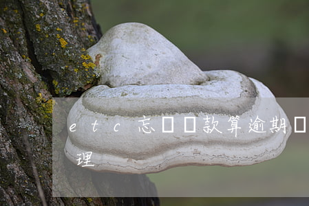 etc忘記還款算逾期嗎(etc逾期怎么處理)