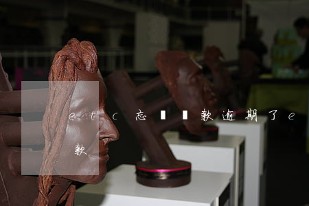 etc忘記還款逾期了(etc逾期了怎么還款)