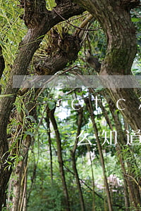 etc怎么知道費用有沒有逾期-etc怎么知道費用有沒有逾期呢