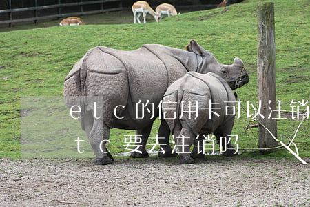 etc的信用卡可以注销吗（信用卡逾期了etc要去注销吗）