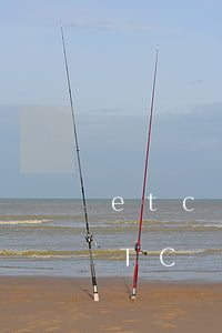 etc綁定的信用卡逾期凍結(jié)（ETC綁信用卡逾期）