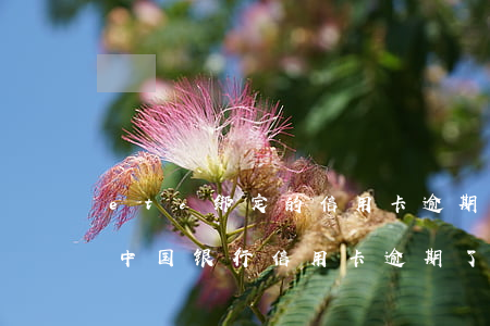 etc绑定的信用卡逾期被锁(etc绑定的中国银行信用卡逾期了,能取消吗)