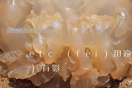 etc費(fèi)用逾期沒交會(huì)有影響嗎-