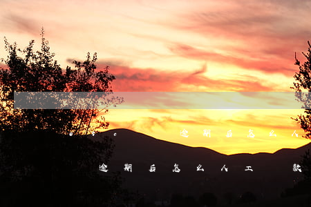 etc賬單逾期后怎么人工還款-etc賬單逾期后怎么人工還款呢