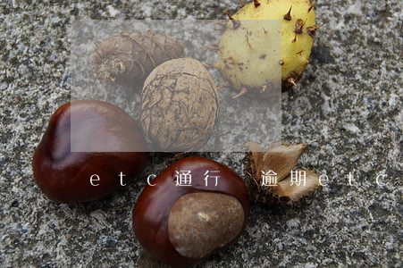 etc通行費逾期(etc逾期了會怎樣)