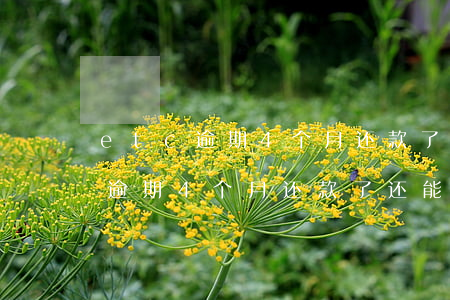 etc逾期4个月还款了还能用吗-etc逾期4个月还款了还能用吗