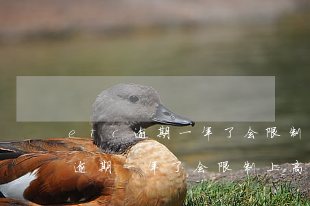 etc逾期一年了会限制上高速吗-etc逾期一年了会限制上高速吗怎么办