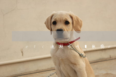 etc逾期可以還款嘛(etc欠款怎么還款)