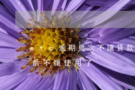 etc逾期幾次不讓貸款(etc逾期后還款后不讓使用了)