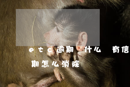 etc逾期為什么沒有信息提示-etc逾期怎么消除