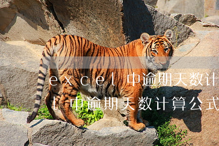 excel中逾期天数计算公式-excel中逾期天数计算公式是什么