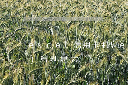 excel信用卡利息(excel計(jì)算利息表)