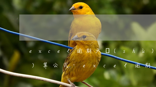 excel逾期天數(shù)的計(jì)算公式-excel逾期天數(shù)的計(jì)算公式是什么