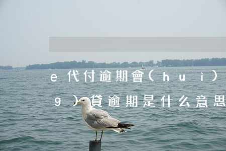e代付逾期會(huì)怎么樣(網(wǎng)貸逾期是什么意思)