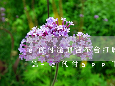 e代付逾期會不會打聯(lián)系人電話-e代付app下載