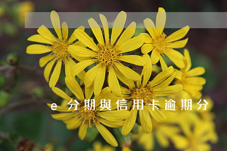 e分期與信用卡逾期分別-e分期被拒