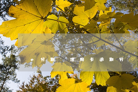e分期與信用卡逾期分別(e分期上征信嗎)