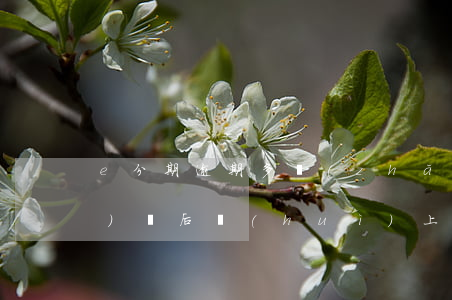 e分期逾期多長(zhǎng)時(shí)間后會(huì)上征信-e分期逾期4天影響大嗎