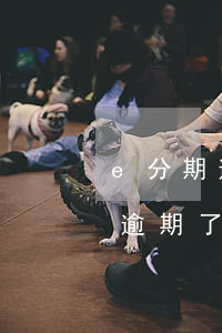 e分期逾期會(huì)鎖信用卡嗎(e分期逾期了怎么辦)