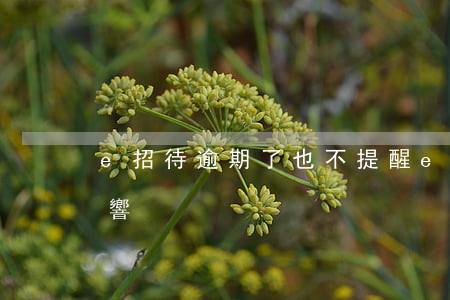 e招待逾期了也不提醒(e招貸逾期有什么影響)