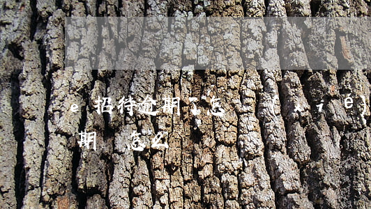 e招待逾期了怎樣協(xié)商(e招貸逾期會怎么樣)