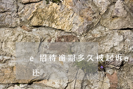 e招待逾期多久被起诉 e招贷逾期4天忘记还