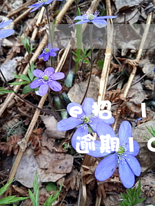 e招貸10萬逾期一天多少滯納金-e招貸逾期10天會怎樣?