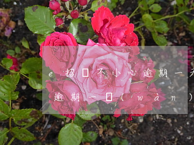 e招貸不小心逾期一天（e招貸和信用卡一共逾期一萬(wàn)）