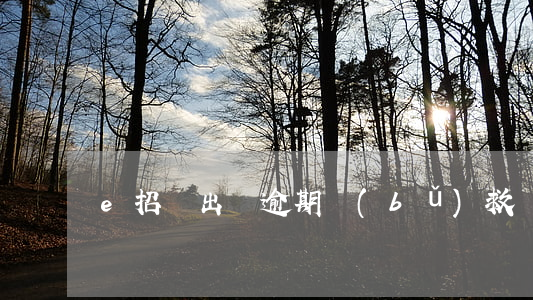 e招貸出國逾期補(bǔ)救
