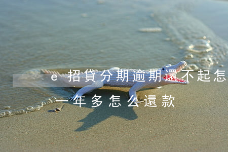 e招貸分期逾期還不起怎么辦-e招貸逾期一年多怎么還款