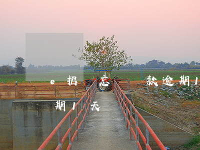 e招貸忘記還款逾期1天(e招貸忘記還款逾期1天)