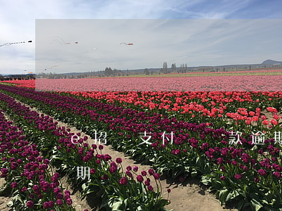 e招貸支付寶還款逾期(e招貸支付寶還款逾期)