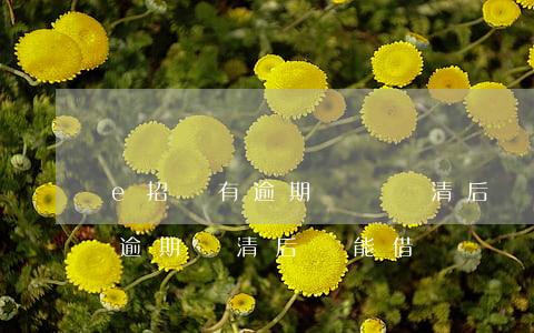 e招貸有逾期記錄還清后還能貸嗎-e招貸逾期還清后還能借嗎