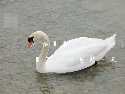 e招貸當(dāng)天還款算逾期嗎(e招貸不小心逾期一天)